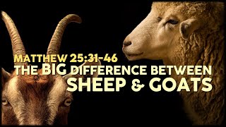 Matthew 25:3146 | The Big Difference Between Sheep & Goats