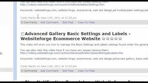 Adding Keywords To Your Blog - Websiteforge Ecommerce Website