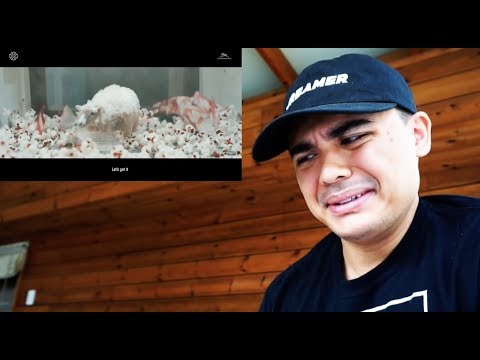 LAY 레이 SHEEP 羊 MV Reaction ARE WE THE SHEEP