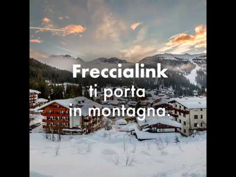 Freccialink