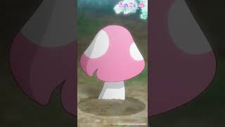 きのこいぬ - YouTube