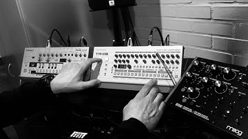 Acid Techno Day 12dec2021 TB 03, TR 09, DFAM & Digitakt