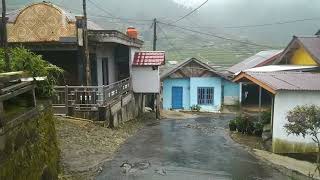 Walk in Beautiful Village Rain in Indonesia #asmr #rainwalk #rainsoundsforsleeping