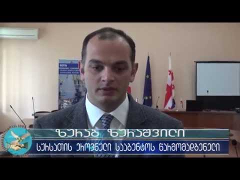 \"ერთად შევეგებოთ ევროპას\"-შეხვედრა გორის საკრებულოში