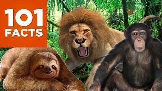 101 Facts About Animals