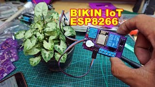 Project IoT ESP8266 Kebun Telegram PCBWAY.COM