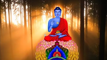 Lời cầu nguyện cho Cha Mẹ khỏe mạnh , không bệnh ,sống thọ với con cháu gửi đến Đức Phật Dược Sư