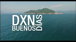 Canción Dxn - Buenos Días Dxn Liric Video