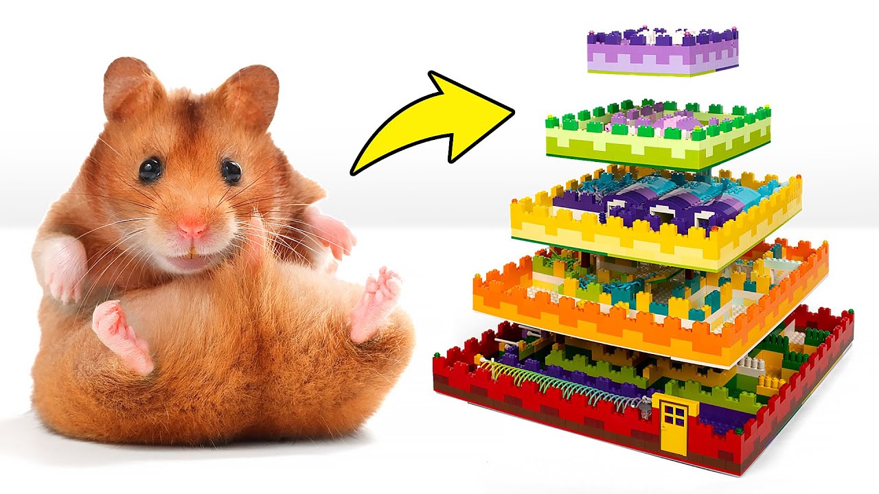 Огромный лабиринт из LEGO для хомяка своими руками - YouTube