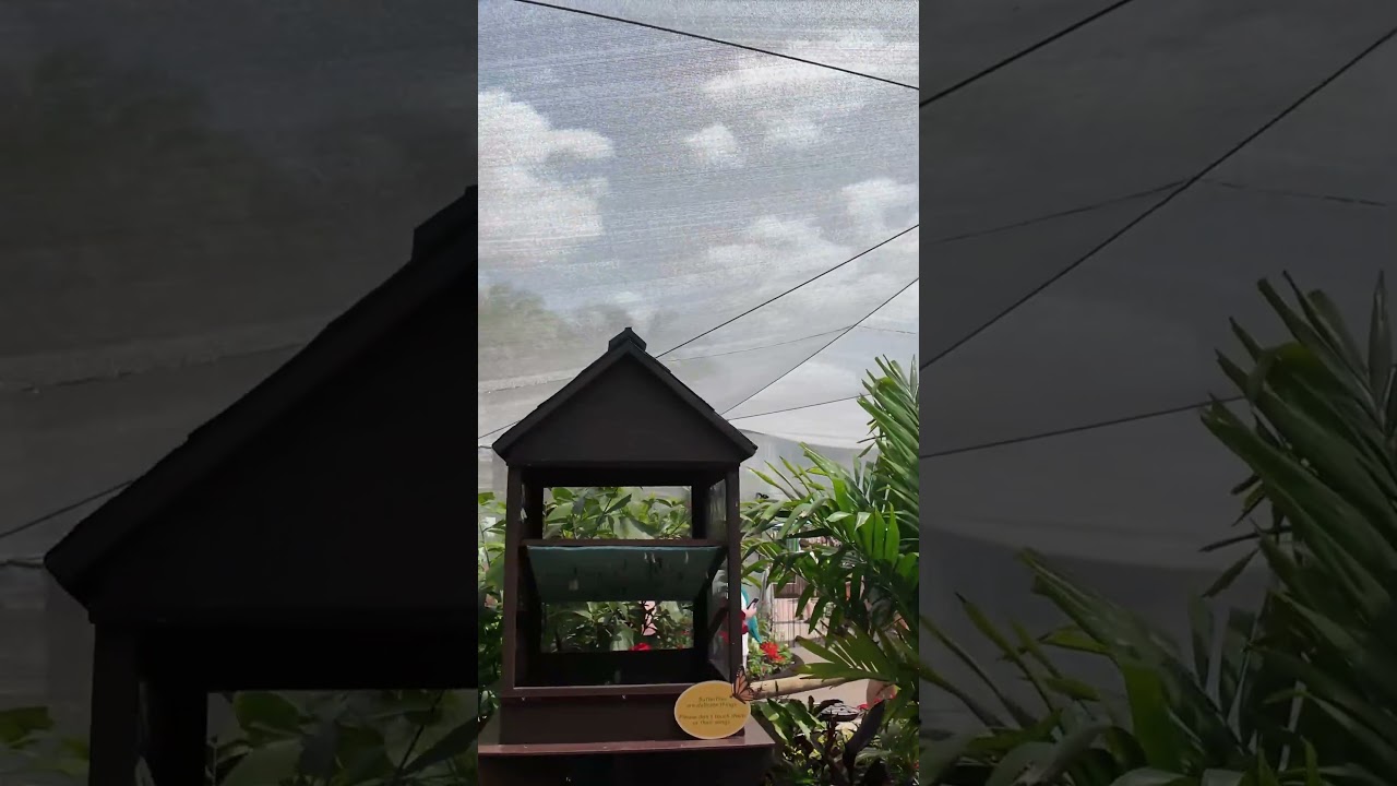 Disney's Epcot Butterfly Landing