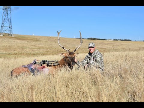 Video: Kohdeyhteistyö Hunterin Kanssa