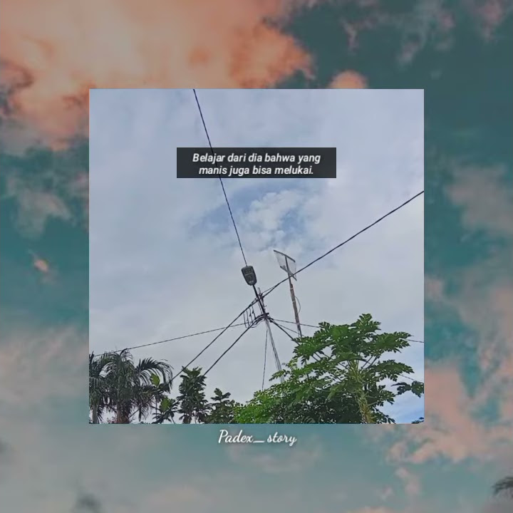 STORY WA 30 DETIK LAGU PAPUA // STORY WA TERBARU