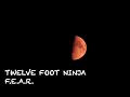 Twelve foot ninja  fear lyrics