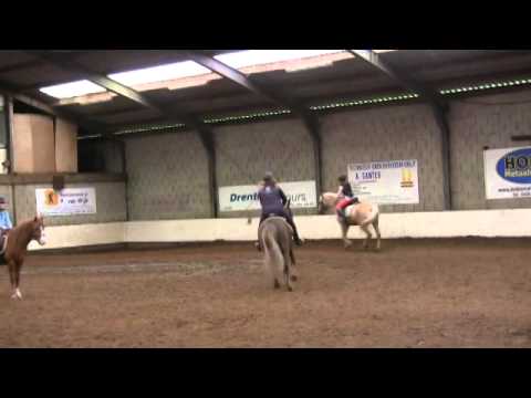 Paard en pony mijn manege gratis en pc