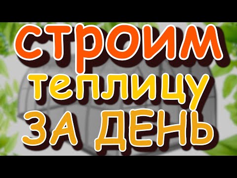 На заметку дачнику: лучшие парники и теплицы из поликарбоната с описанием размеров и ценой