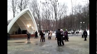 Харьков. Ретро-парк в ЦПКиО имени Горького 18.01.2015.