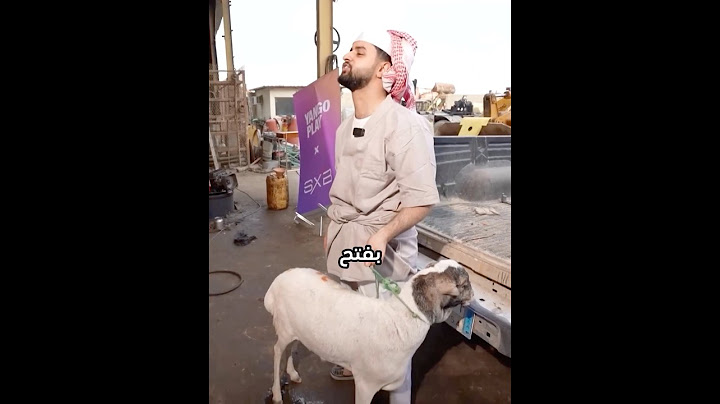 مزاد الطفاره❎مزاد المتنمرين✅😂#شونق#مودي#رايد#فايروس#راكان#ابونوح#ريان#فيرفول#باور#جيش_باور #fyp