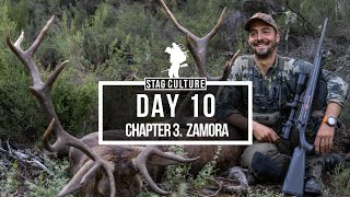 STAG CULTURE DAY 10 - GIANT STAG AND WILD BLOOD TRACKING RECOVERY WITH DOG - SPARTAN BIPOD GIVEAWAY