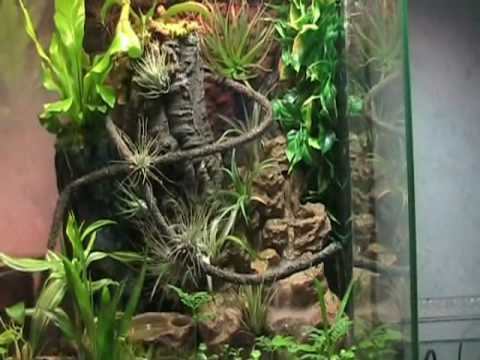 Tropen Terrarium - YouTube
