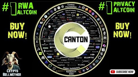 Nothing can touch the Canton Network for RWA