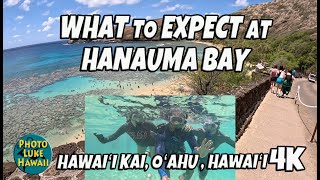 What to Expect at Hanauma Bay August 3, 2023 Oahu Hawaii Snorkeling
