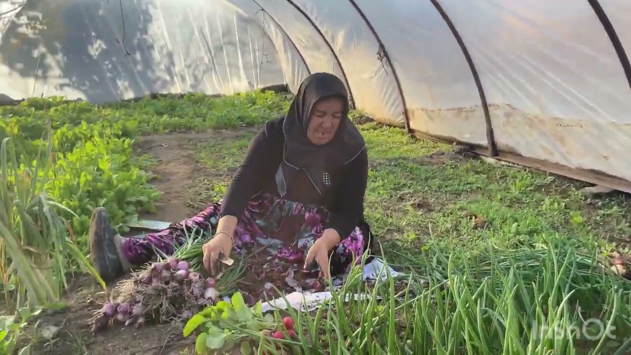 KÖY HAYATI SERADA YEŞİllİK BAĞLIYORUZ