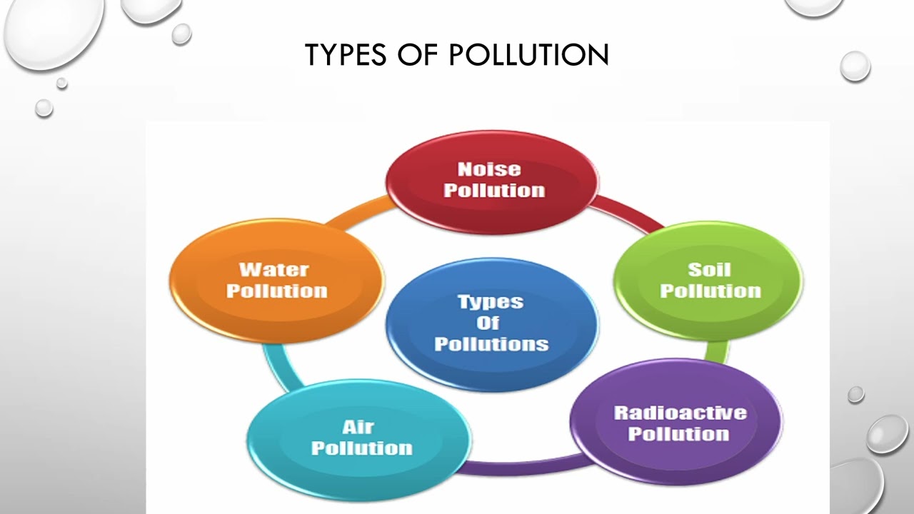 100 %Our environment 100%marks