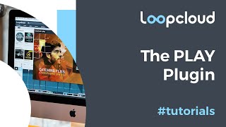 PLAY Plugin - Loopcloud 5 Tutorial