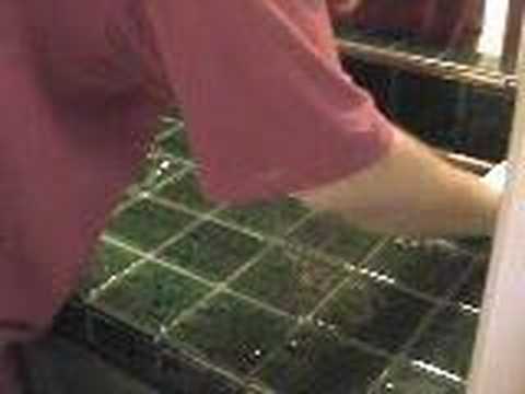 GROUT RECOLORING VIDEO - YouTube GROUT RECOLORING VIDEO - YouTube