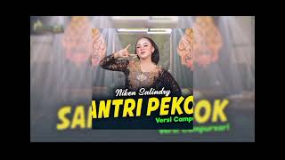 Download Lagu santri pekok nikken sailindry versi campursari MP3