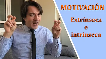 ¿Cuáles son los 3 tipos de motivaciones?