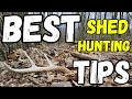 Best shed hunting tips part 2
