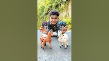 Rc Remote Control 2 Ta Horse Unboxing And Testing