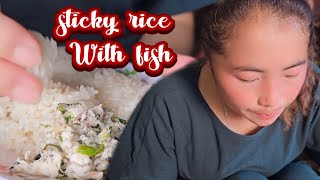 Sticky rice with fish (qab heev ແຊບ)