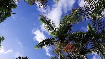 " مَن كَانَ يُرِيدُ العِزَّةَ فَلِلَّهِ العِزَّةُ جَمِيعاً" تلاوة هادئة مريحة للقلب
