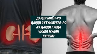 Дарди миён-ро аз дарди гурда чихел чихел муаян кунем? #докторМухаммад