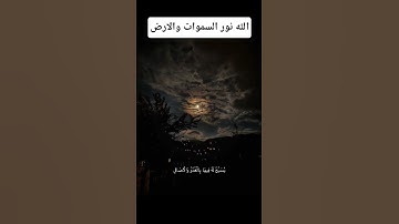 تلاوة قرانية قصيرة هادئة تريح القلب #القران_الكريم_راحه_نفسية