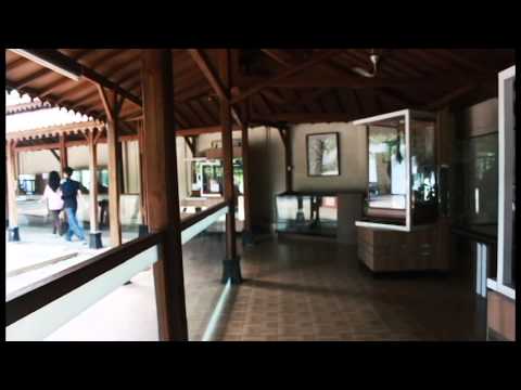 Gloves 2015 - Pulang Untuk Kembali [Full]