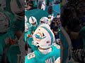 DOLPHINS ARE LOCKED IN
