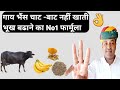         desi formula for increase cow buffalo milk