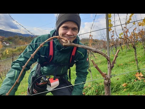 Video: Einen Blumentopf aus Beton herstellen – wikiHow