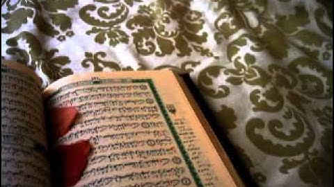 الشيخ ناصر القطامي - سورة النصر