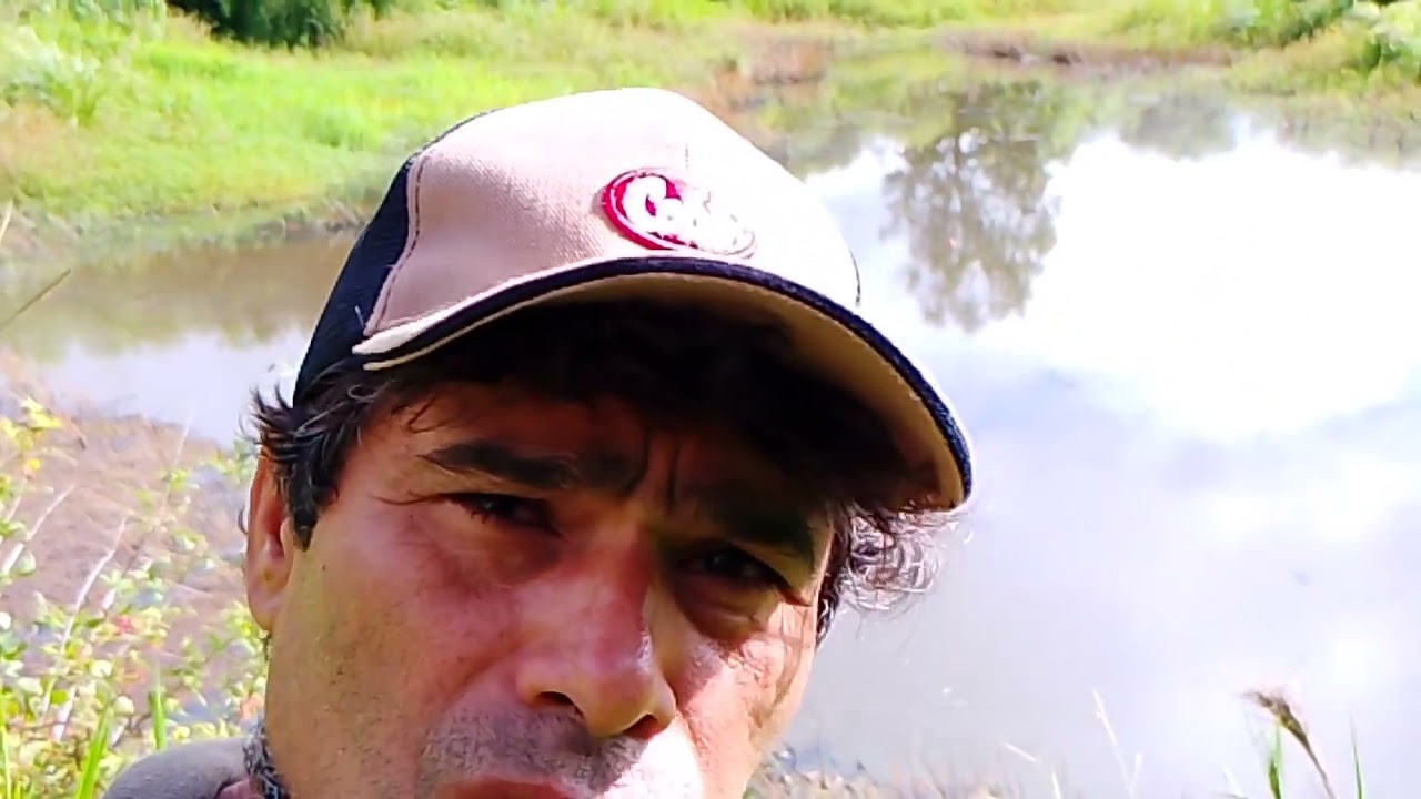 20 de fevereiro de 2026