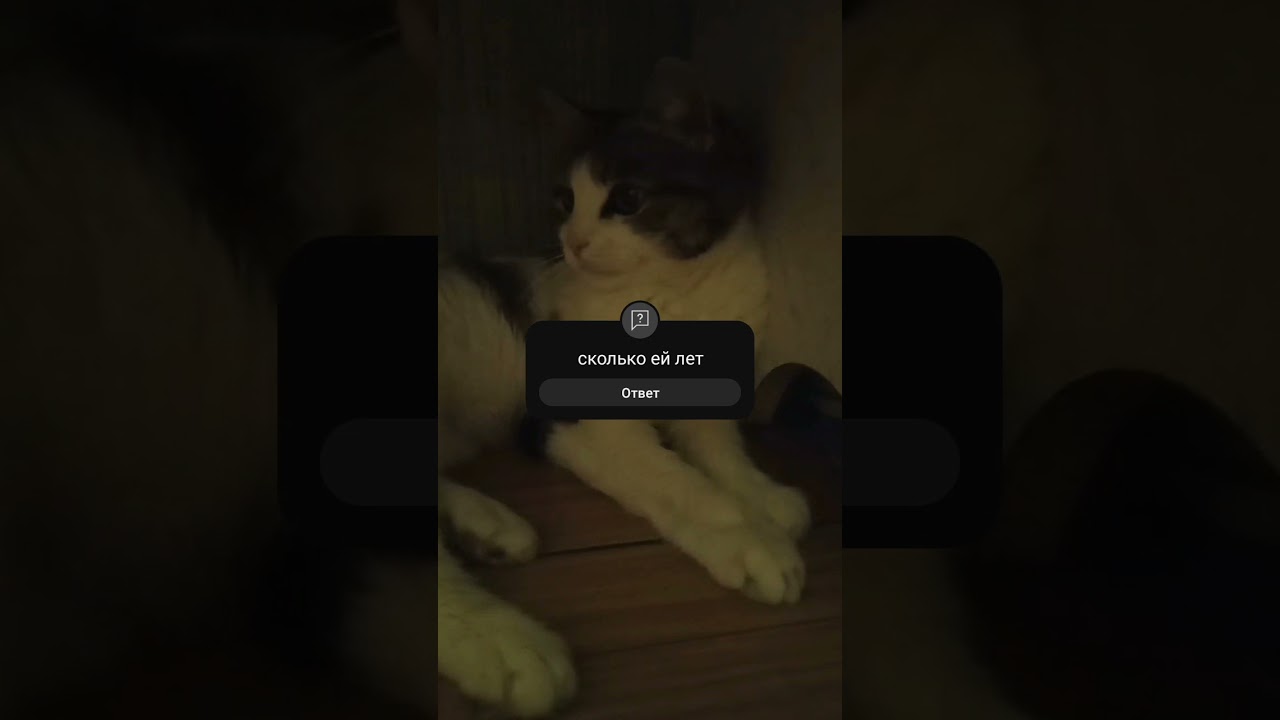 вредная и старая 