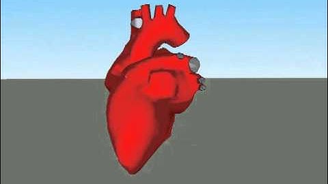 Animation from simulation with Sketchup  - www.simfonia.fr