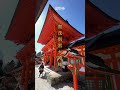 お祓い　浄化　一万人に一人しか見えません【賀茂別雷神社上賀茂神社遠隔参拝】#shorts #瀬織津姫 #運気上昇 #パワースポット #遠隔参拝 #スピリチュアル #金運上昇