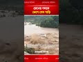 সেতু ভেঙে নদীতে পড়ল গাড়ি, ভেসে গেল চোখের পলকে | Ajker Patrika
