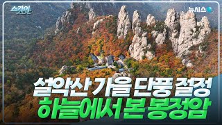 설악산 가을 단풍 절정🍂 하늘에서 본 봉정암 [스카이씬]