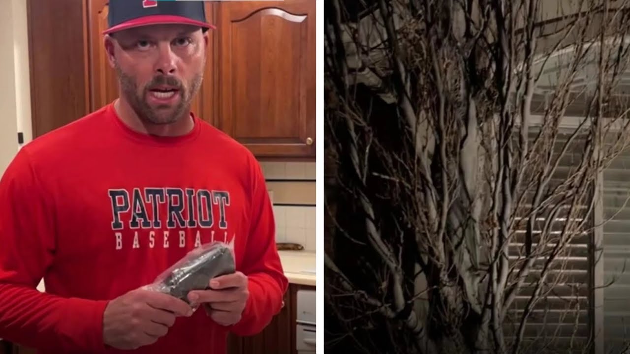 Light Up the Night: Epic Landscape Makeovers with Varmtalys LED Spotlights