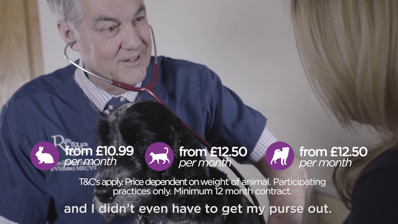 camera iphone 8 plus apk The Pet Health Club - Protecting Your Pet & Your Pocket